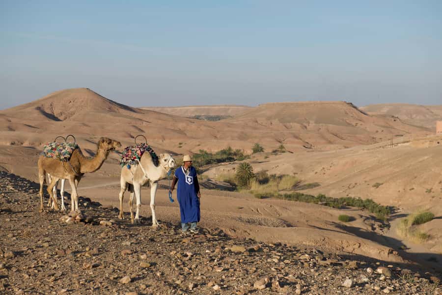 Agafay Desert: Quad Bike and Camel Ride Adventure Tour - Yamaha quads across hills, gravel, and open ground