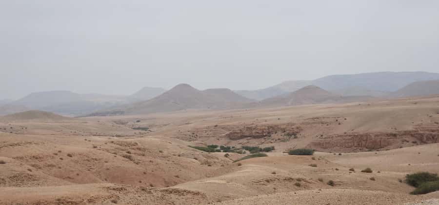 Agafay Desert: Quad Biking, Camel Ride, Lunch - Guides, Staff, and Day-to-Day Organization