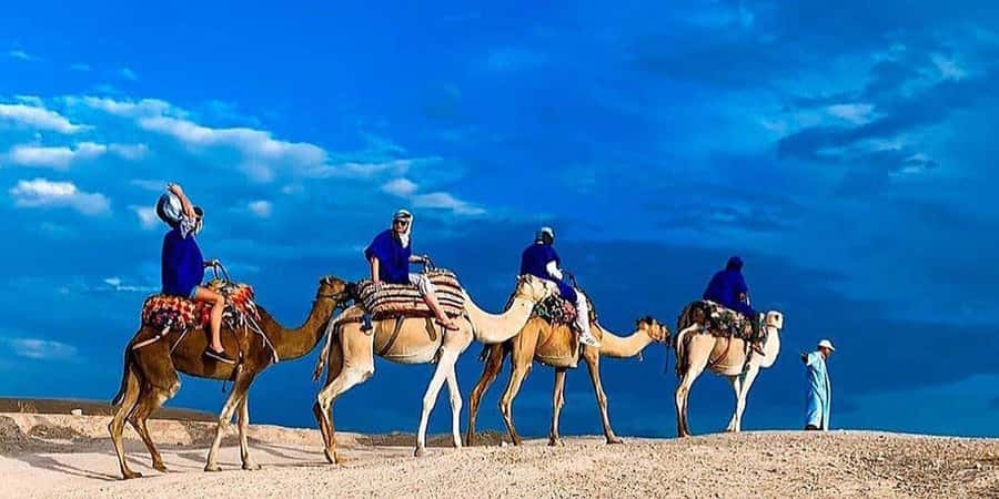 Agafay: Half-Day Rocky Desert Quad & Camel Ride with Lunch - Families, Couples, and First-Time ATV Riders