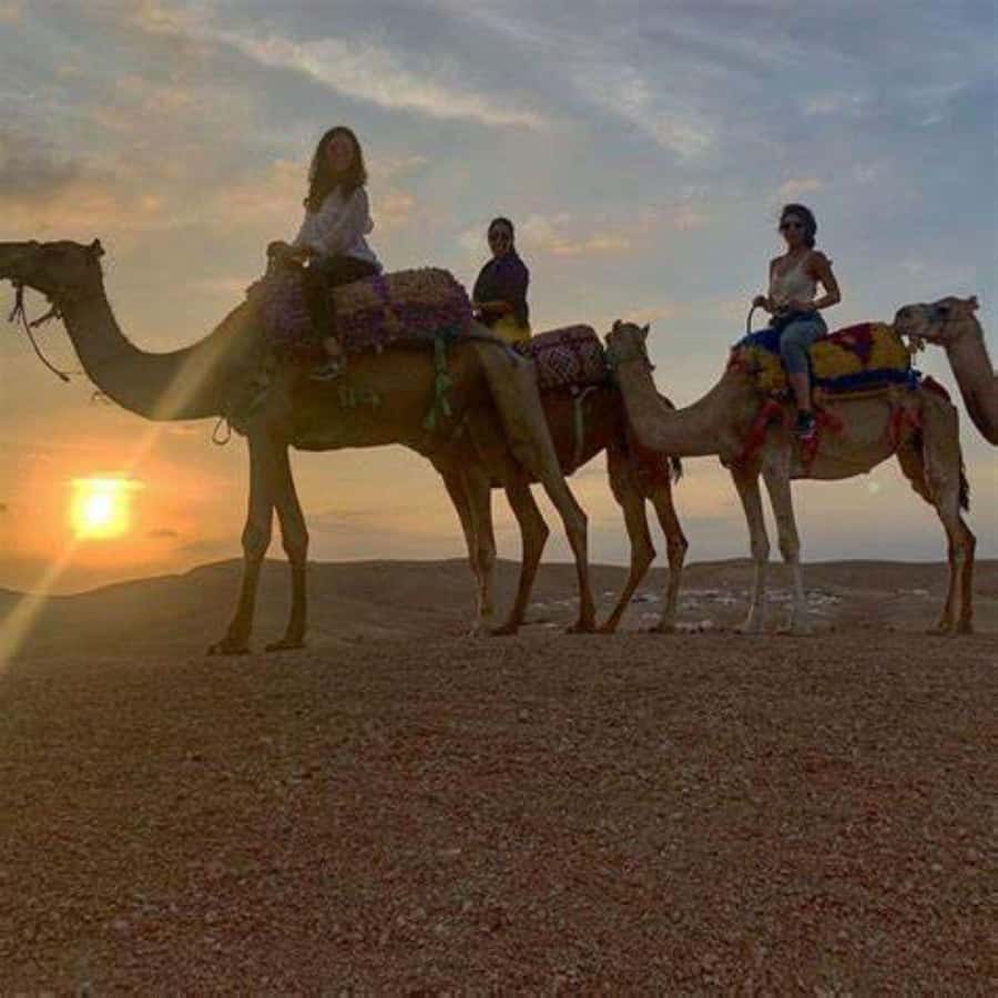 Agafay: Quad, Camel Ride & Dinner Show from Marrakech - Dinner under the Moroccan tent