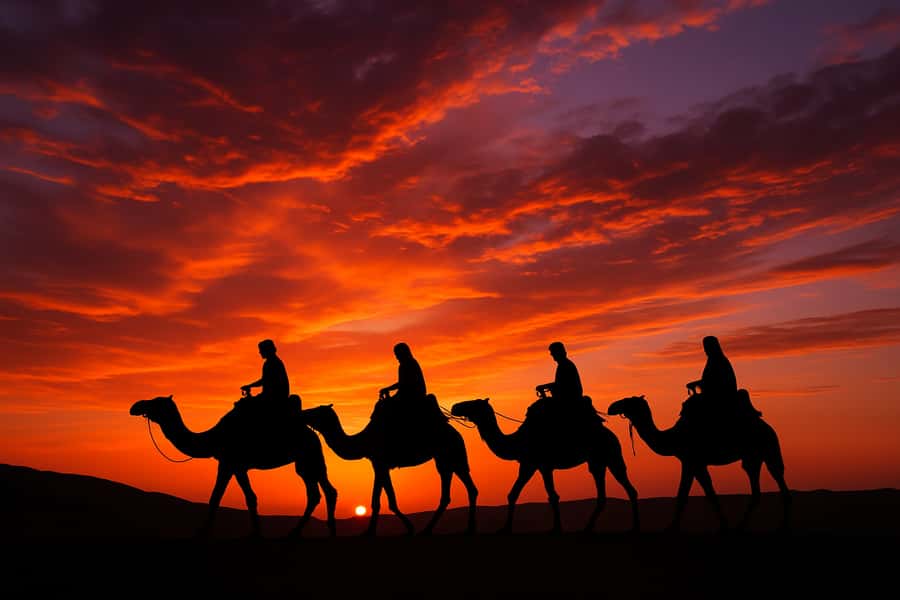 Agafay: Quad, Camel Ride & Dinner Show from Marrakech - Who should book this outing?