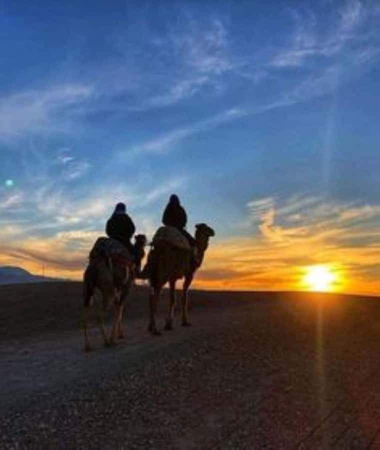 Agafay: Quad, Camel Ride & Dinner Show from Marrakech - Leaving Marrakech for the argan cooperative