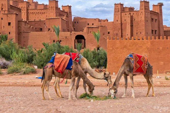 Ait ben haddou and Ouarzazate day trip - Tizi n’Tichka: the journey is part of the tour