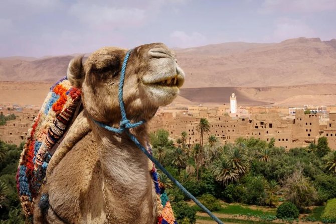 Ait ben haddou and Ouarzazate day trip - A shared minibus means convenience, not independence