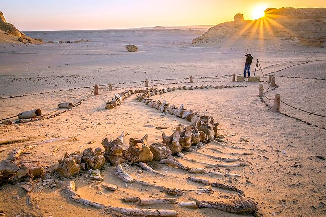 Allinclusive Private Tour Fayoum Oasis & Valley of Wales - The long day from Cairo