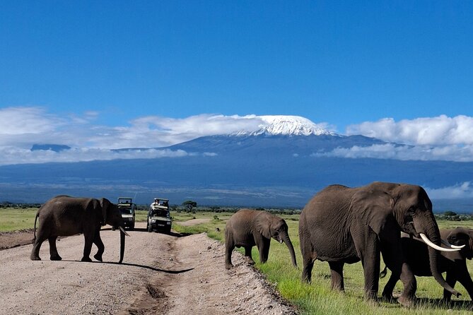 Amboseli Day Tour from Nairobi - The 5 a.m. departure from Nairobi