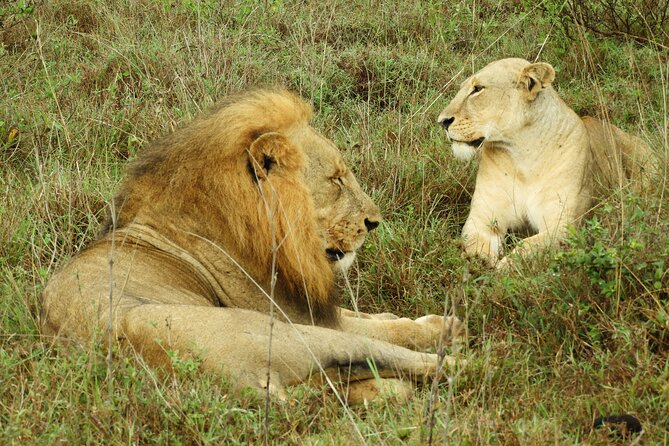 Amboseli Day Tour from Nairobi - Entering Amboseli around 8:45 a.m.