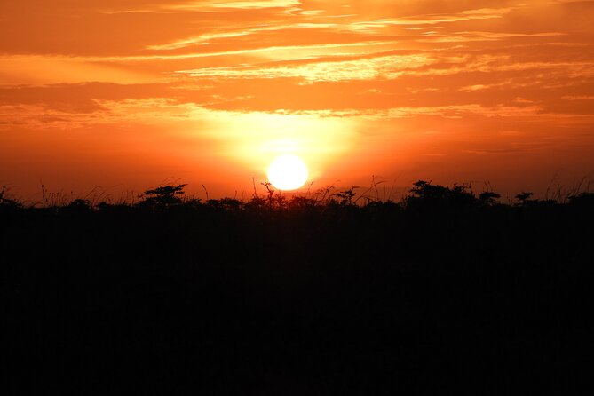 Amboseli Day Tour from Nairobi - Kilimanjaro: spectacular when the clouds cooperate