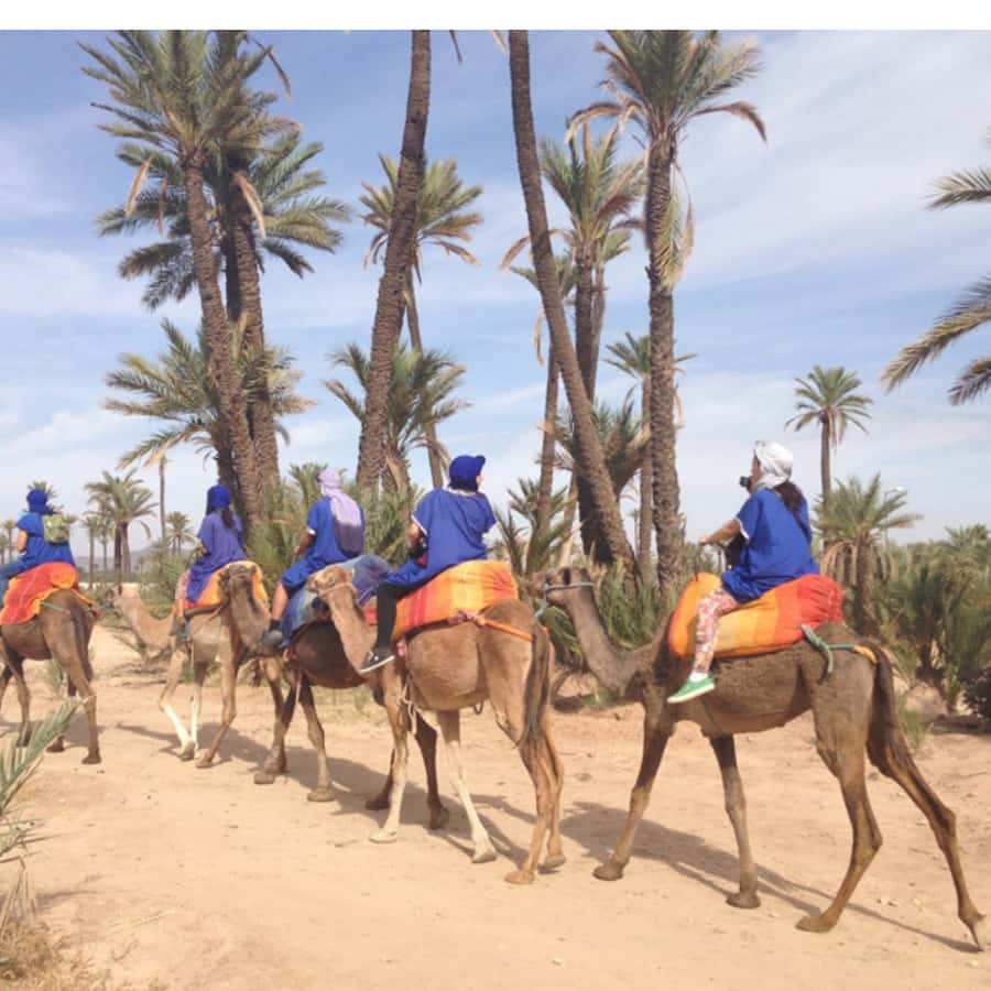 Around Marrakech: Camel Ride in Palm Groves including Tea - Key points to know before booking