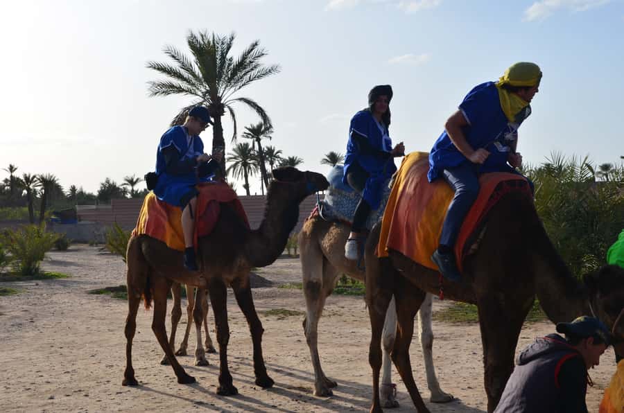 Around Marrakech: Camel Ride in Palm Groves including Tea - From Marrakech to the Palmeraie in 30 minutes