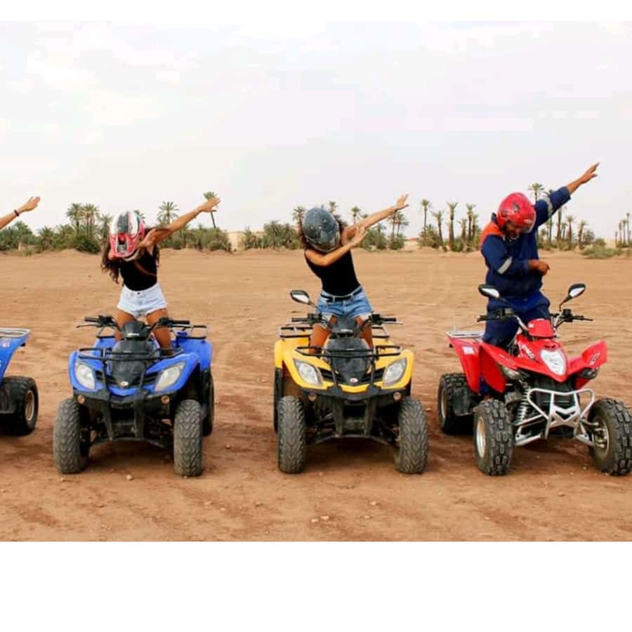 Around Marrakech: Camel Ride in Palm Groves including Tea - One hour through the palm groves