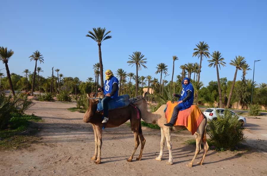 Around Marrakech: Camel Ride in Palm Groves including Tea - The optional quad bike addition