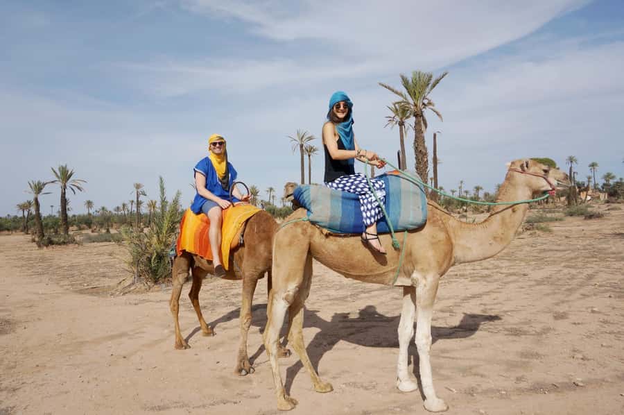 Around Marrakech: Camel Ride in Palm Groves including Tea - Who will enjoy this most