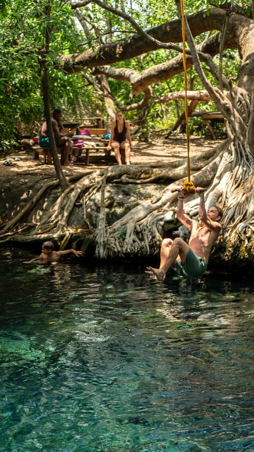 Arusha or Moshi : Hot Spring, Waterfall & Coffee Farm Tour - Swimming at Chemka Hot Springs