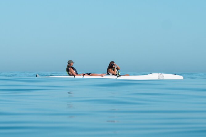 Atlantic Outlook Kayak Tour Cape Town - Timing, sea conditions, and the smart way to schedule