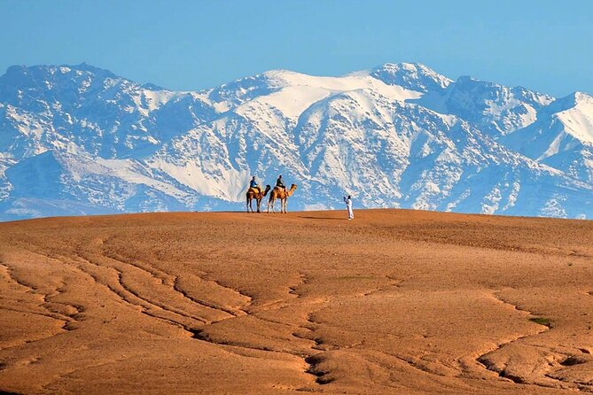 Atlas Mountains and Three Valleys & Waterfalls - Villages Marrakech Day Trip - Who should book this day trip?
