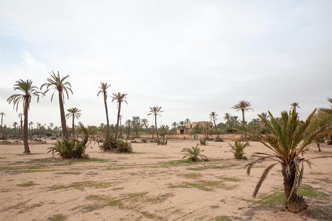 Atlas Mountains Hot Air Balloon Ride from Marrakech with Berber Breakfast and Desert Camel Experience - Landing, certificates, and the Berber breakfast