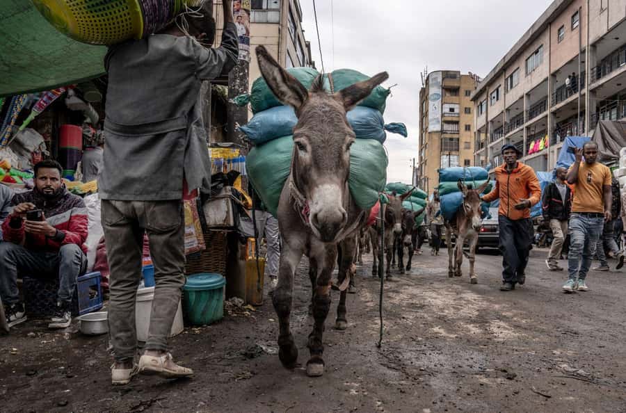 Authentic Addis Ababa City Tour with a Local Guide - Walking through Mercato with help