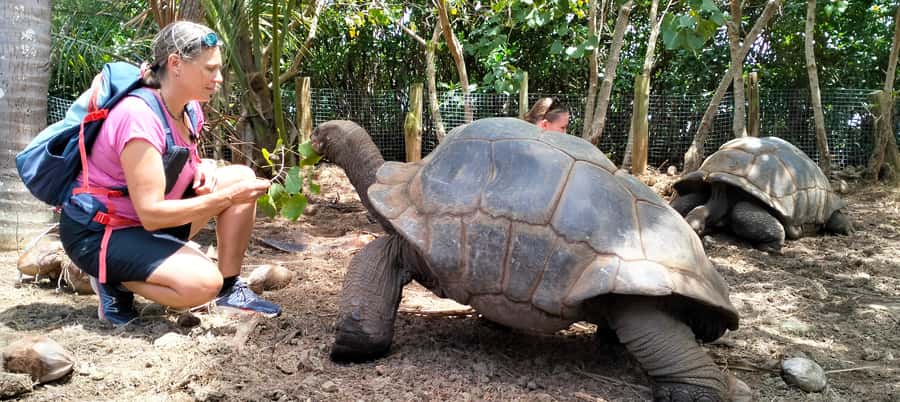 Authentic North East Coast E-bike Guided Tour - Mangroves, oysters and coastal wildlife