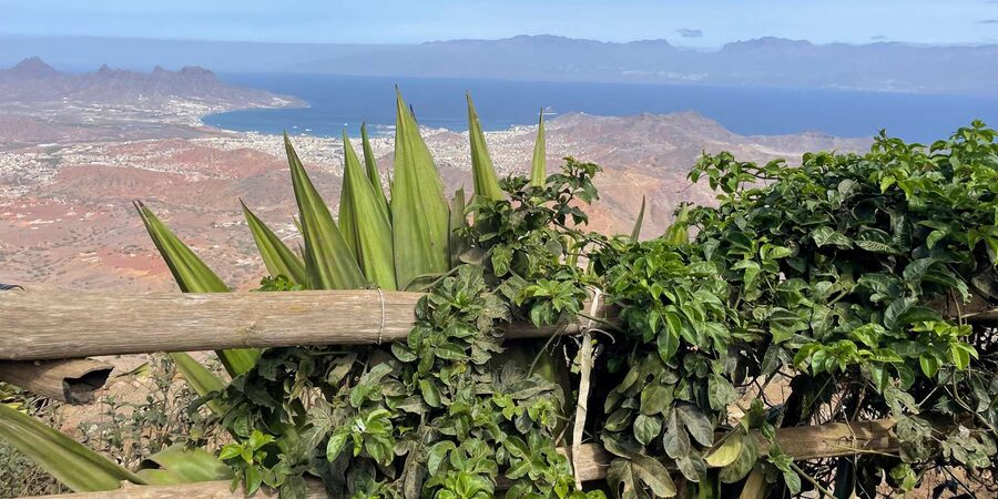 Beaches, Villages and Monte Verde (excludes city) - What the guides add to the day