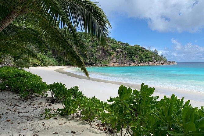Beautiful island tour 5-6 hours | Mahé, Seychelles | Private Tour - Victoria gives you the island’s story in miniature