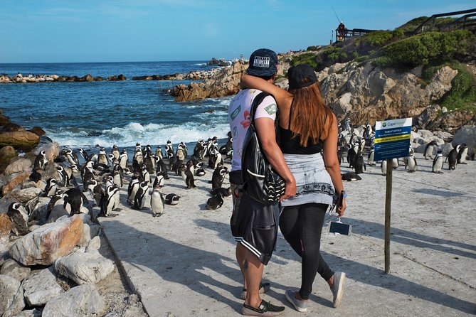 Best of Cape Town Full-Day Private Tour with Table Mountain - The Atlantic coast and Hout Bay add the scenic drive