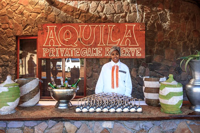 Big Five Game Reserve Wildlife Safari from Cape Town - Group size, timing, and small details that matter