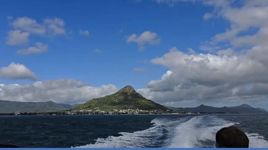 Black River: Swim with Dolphin Speed Boat Tour with lunch - What the $74 price really covers