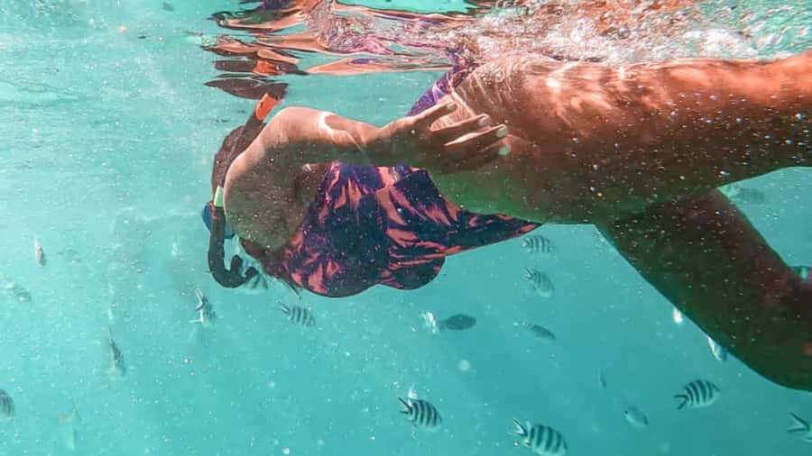 Blue Bay: Blue Bay Glass Bottom Boat Visit and Snorkeling - What the guides add to the trip
