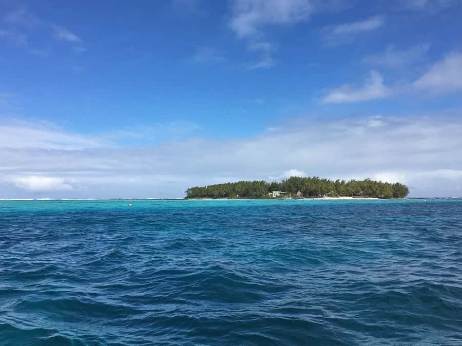 Blue Bay: Half-Day Snorkeling Trip with Creole Picnic Lunch - The second snorkeling session and possible bonus stop