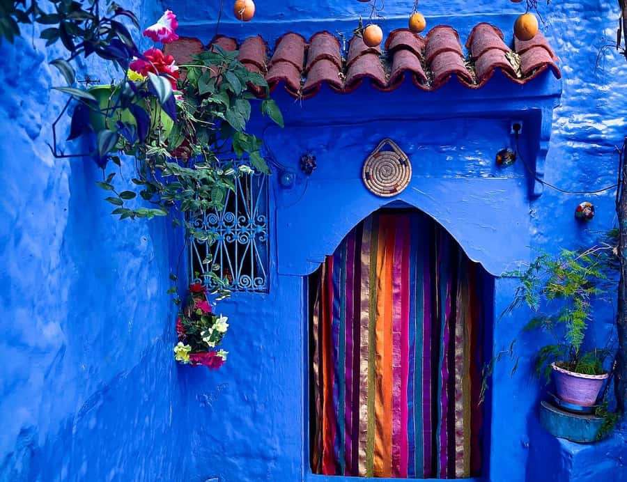 Blue City magic: Affordable Day Trip from Fez to Chefchaouen - The hilltop view of Chefchaouen