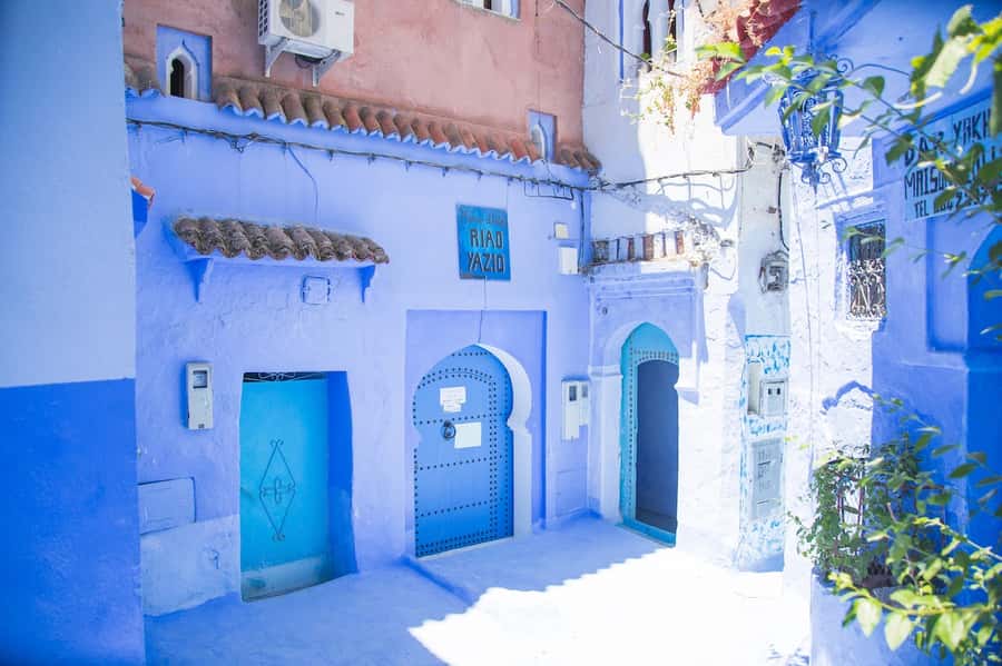 Blue City magic: Affordable Day Trip from Fez to Chefchaouen - Comfort, group travel, and small practical details