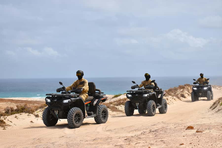 Boa Vista Quad Tour: Shipwreck & Viana Desert (2-Hour) - What the guides add to the experience