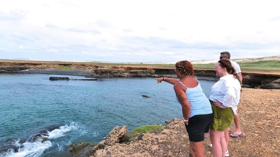 Boa Vista: Shark, Turtles, Cave, Sandboarding & Tasting Tour - The 4x4 ride is part of the attraction