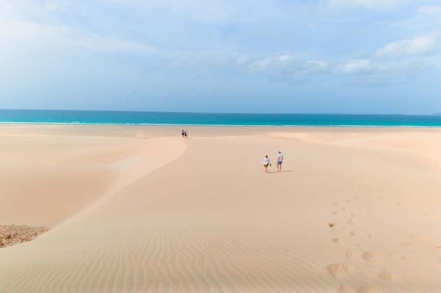 Boa Vista: Shark, Turtles, Cave, Sandboarding & Tasting Tour - What to bring and who will enjoy it