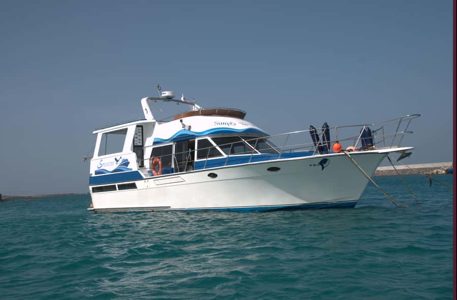 Boa Vista: Whale Watching Trip with Motoryacht - Searching the Atlantic for a blow or fluke