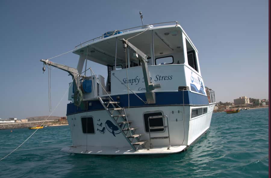 Boa Vista: Whale Watching Trip with Motoryacht - What is included, and what you should bring
