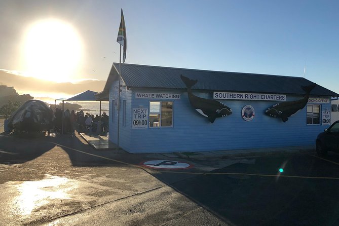 Boat Based Whale Watching from Hermanus - Choosing the right season and departure date