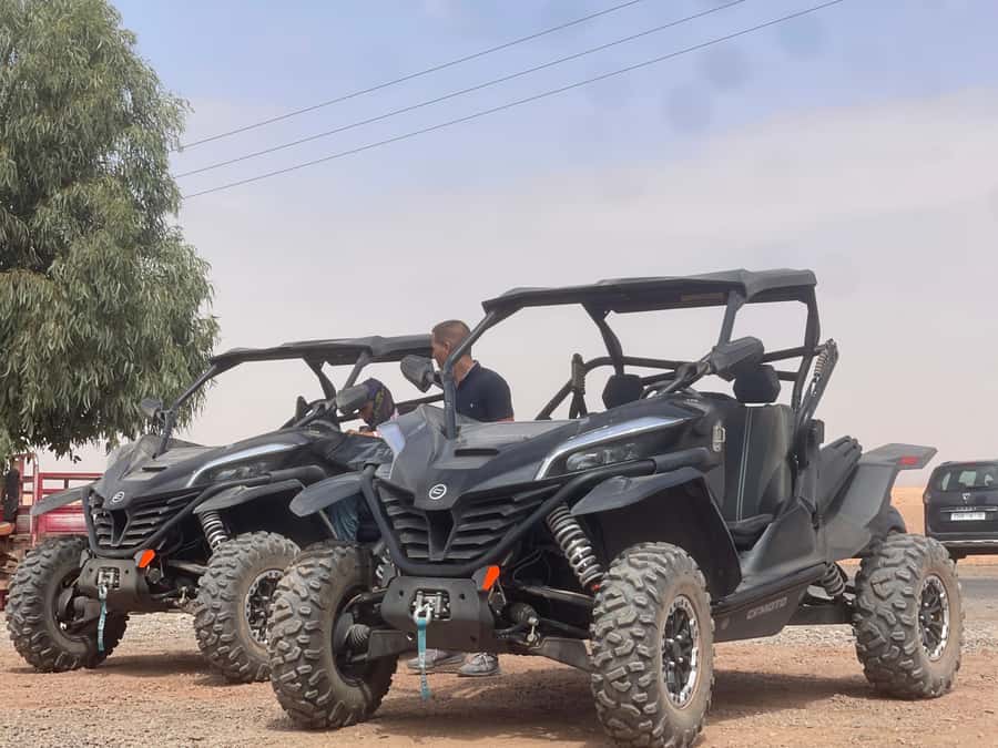 Buggy Marrakech Desert and Palmerie - Who should book this Marrakech buggy ride?