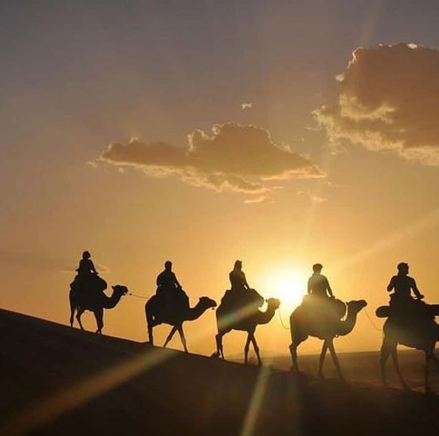 Buggy ride with camels and dinner show in agafay desert - The Agafay buggy ride: one hour of dust and open views