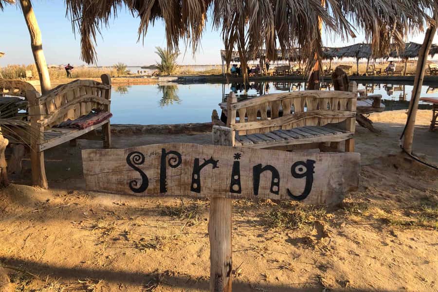 Cairo: 3-Day Siwa Oasis Tour, Safari, Camp & Historical Site - Who should book this Siwa trip?