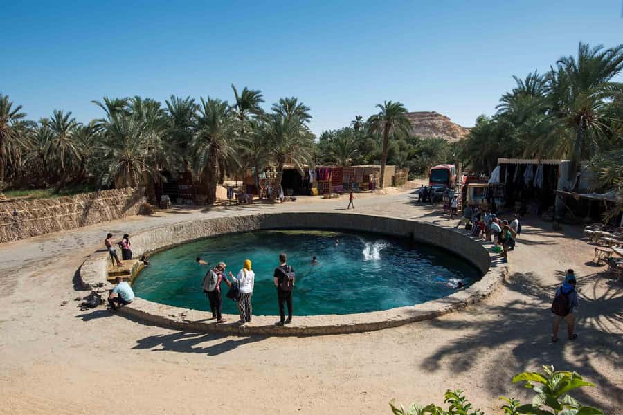Cairo: 3-Day Siwa Oasis Tour, Safari, Camp & Historical Site - Mountain of the Dead and the tombs of Si-Amun