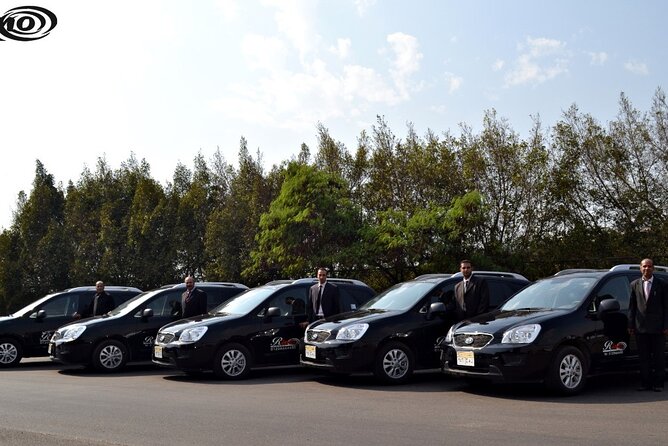 Cairo Airport Private Arrival/Departure Transfer to any address/hotel in Cairo - Airport arrival: from the terminal to your car