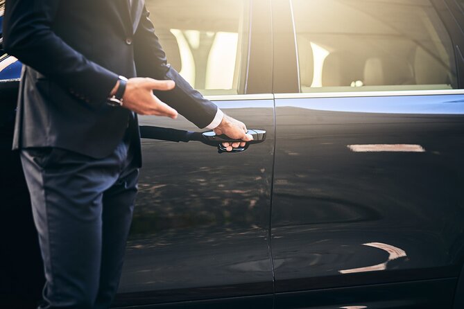 Cairo: Airport Transfer Service With Meeting And Greeting - Who should book this service