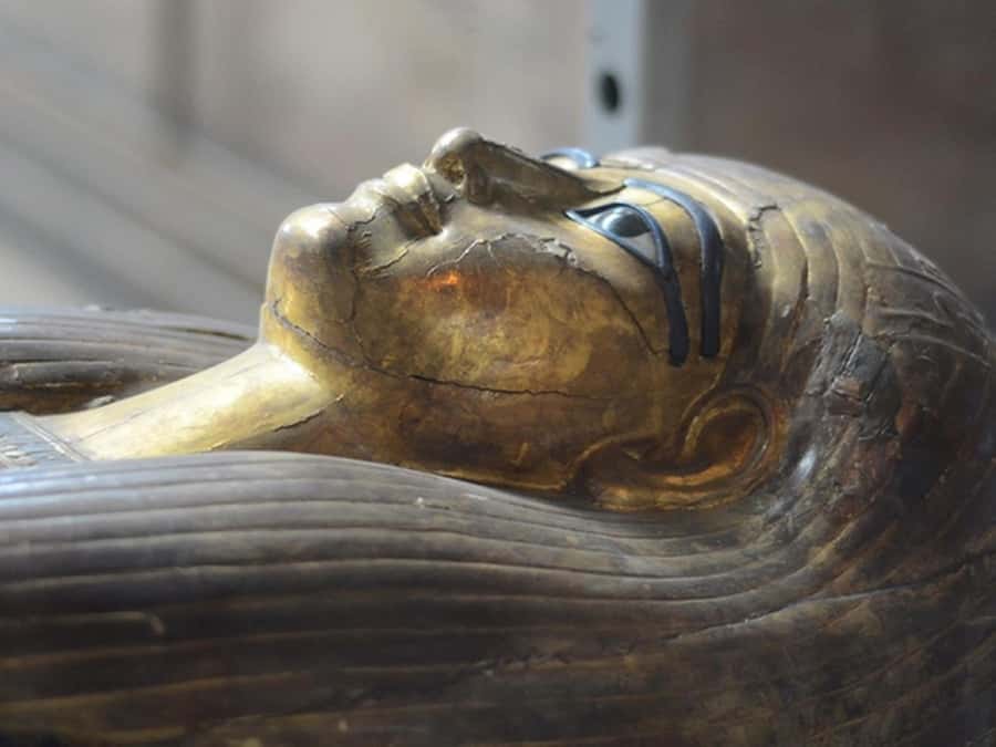Cairo: Egyptian Museum, Citadel, and Old Cairo Guided Tour - Saladin’s Citadel and Muhammad Ali Mosque