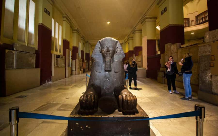 Cairo: Egyptian Museum Private Half Day Guided Tour - What $40 per person gets you