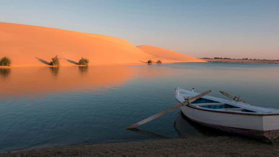 Cairo: Fayoum, Wadi El Rayan, and Wadi al Hitan 4x4 Tour - Shared, private, and all-inclusive choices
