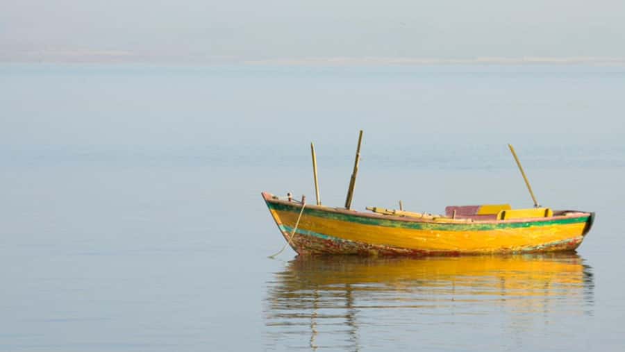 Cairo: Fayoum, Wadi El Rayan, and Wadi al Hitan 4x4 Tour - The guides make a practical difference