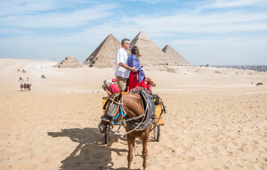 Cairo: Half Day Pyramids Tour by Camel or Horse Carriage - The Sphinx brings the story closer to ground level