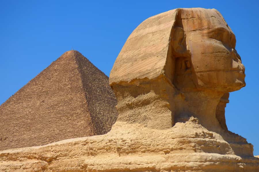 Cairo: Half Day Pyramids Tour by Camel or Horse Carriage - Camel ride or horse carriage: choose with care